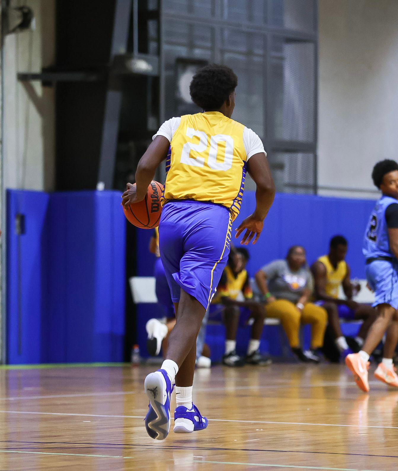 Basketball IQ